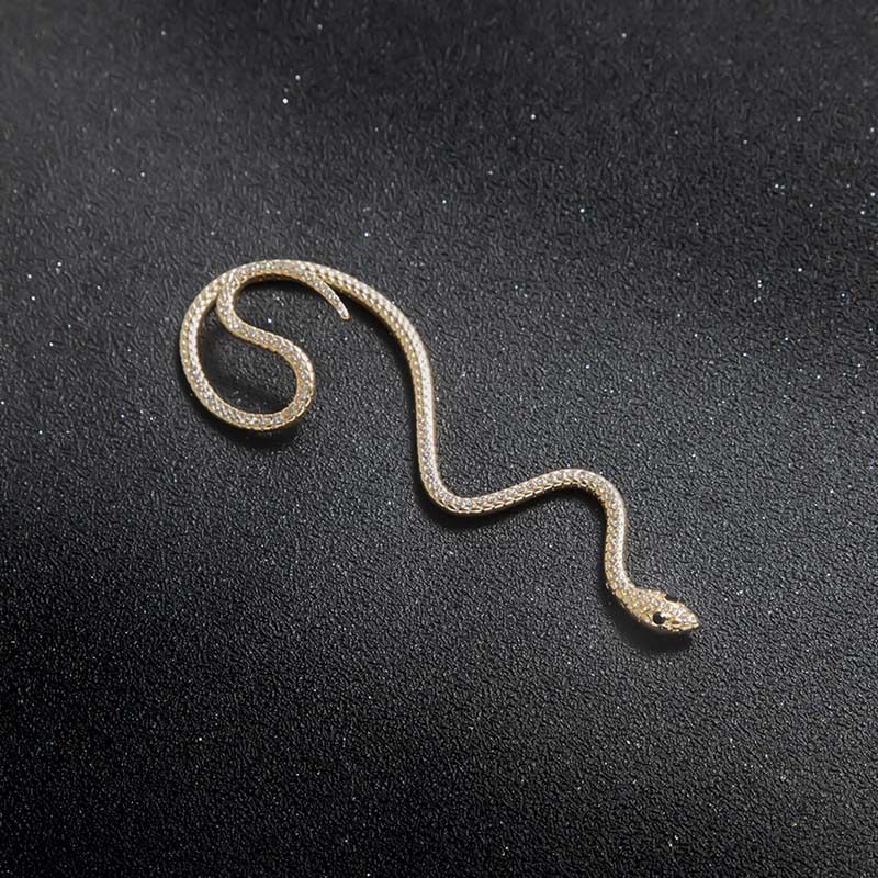 Orecchini personalizzati a forma di serpente esagerati senza fori per le orecchie, accessori alla moda per le donne_voghion.com