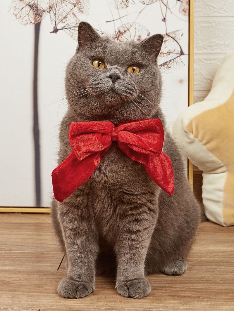 Julemode klassisk rødgrønt gevir lys Hairball stjerner hund kat pandebånd hovedbeklædning_voghion.com