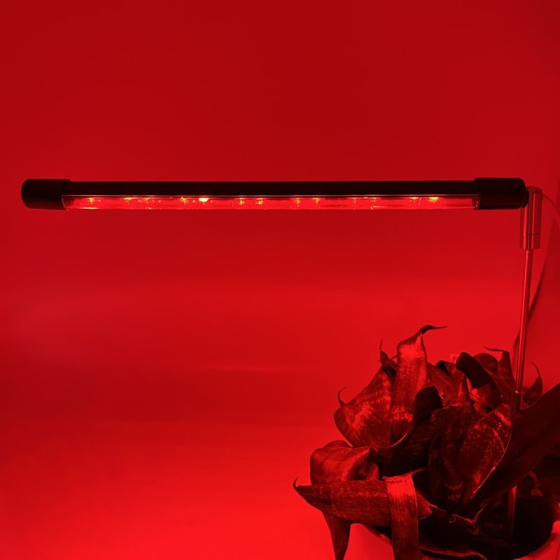 Grond gemonteerde plantengroeilamp LED Full Spectrum Succulent Groene Plant Zaailing Plant Lamp Vullicht Fabrikant_voghion.com