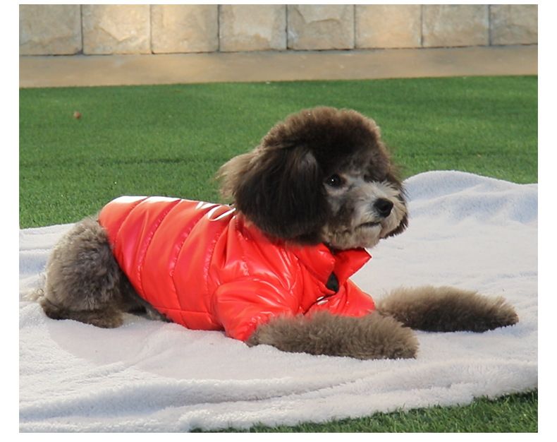 Einweg-Baumwoll-gepolsterte Kleidung Katze Herbst und Winter Hundekleidung Winterkleidung kleine Hunde Haustier Baumwolle gefütterte Jacke neue Baumwolle gefütterte Kleidung Winter_voghion.com