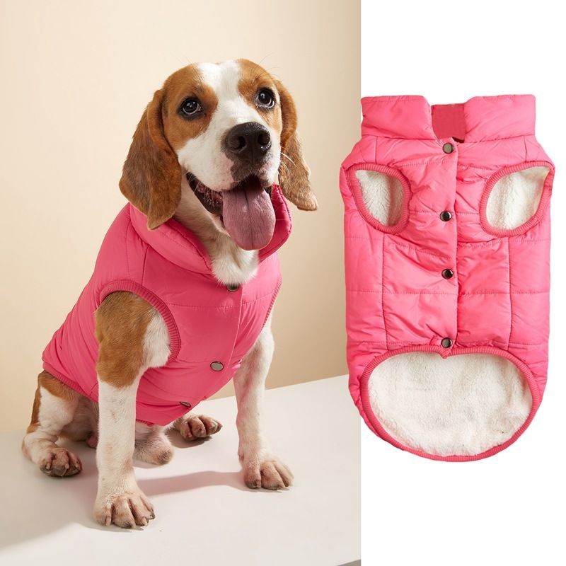 Haustierkleidung Herbst Winter Neue Baumwolle Einfarbig Knopf Warm Kleine Mittelgroße Hunde Golden Retriever Bichon Jacke Weste_voghion.com