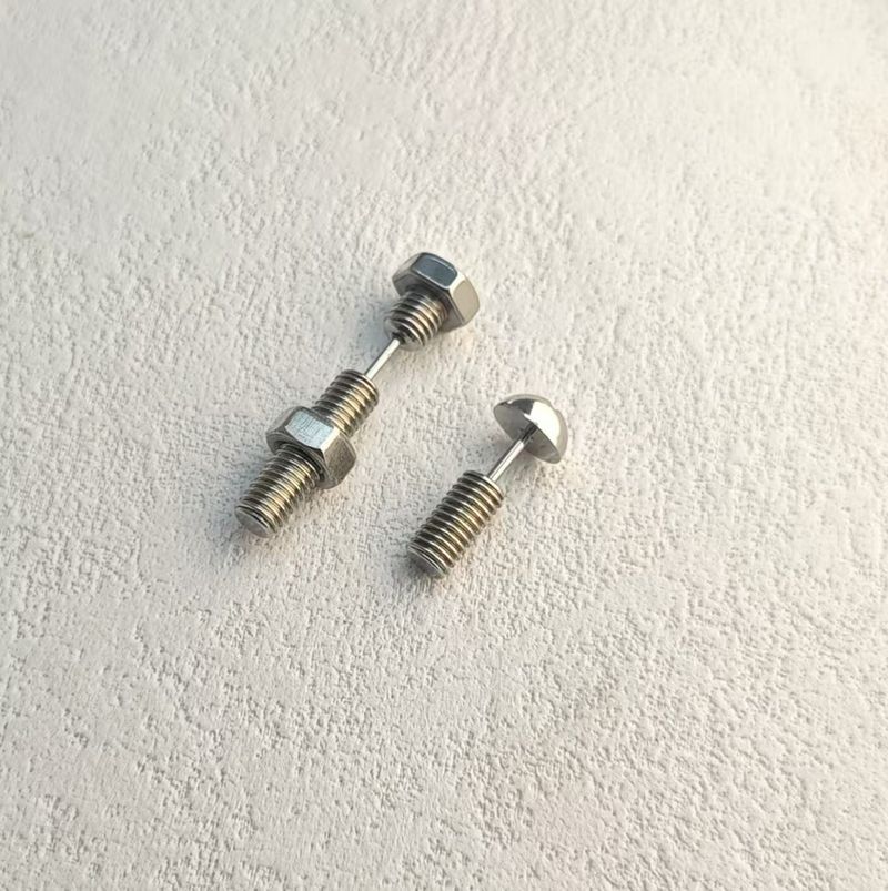 Ins Trend Personality Screw Earrings For Men And Women Stainless Steel Piercing Ear Jewelry Hip Hop Accessories_voghion.com