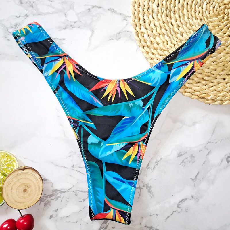New Printed Women's Sexy Two-Piece Bikini Brazilian Hot Spring V-String Swim Bottoms_voghion.com