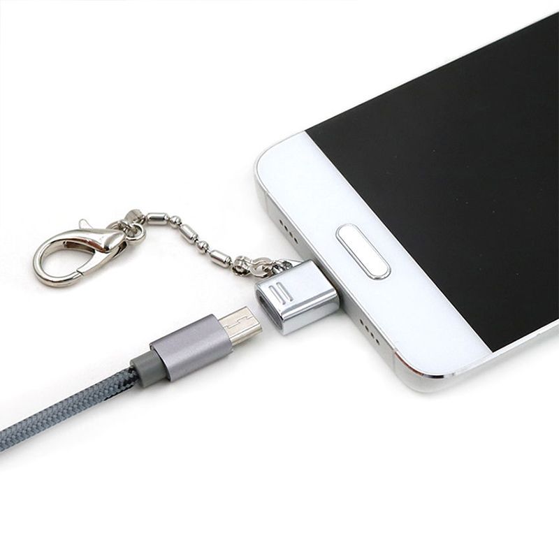 Metall Schlësselanhänger Type-C Adapter Kit Mini Micro USB op Type C & USB op Type C OTG Konverter Datensynchroniséierungs-Ladeadapter_voghion.com