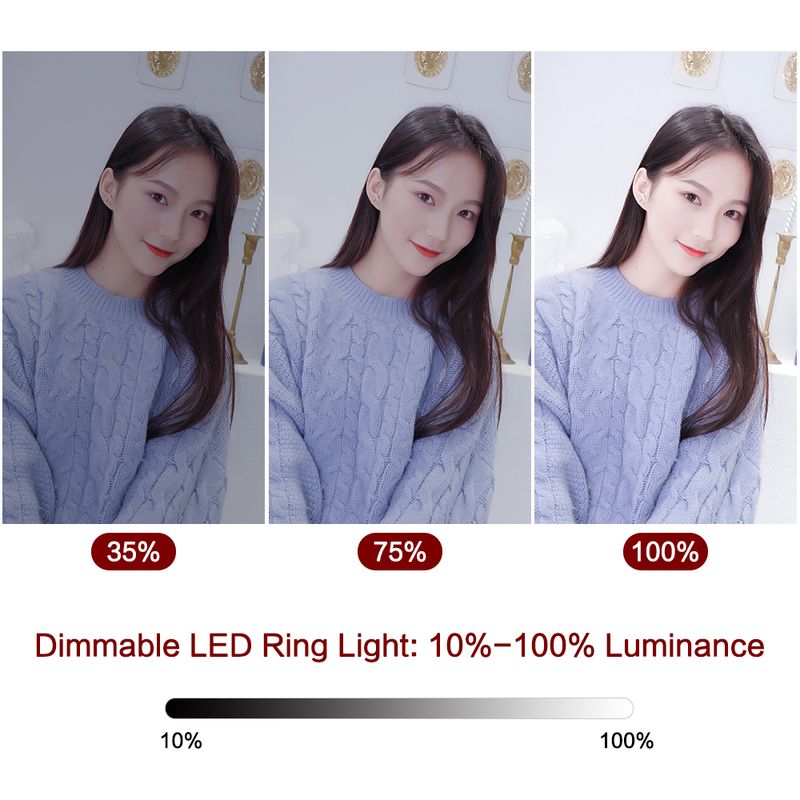 10 inch LED-licht Fotografie Selfieverlichting met statief voor smartphone YouTube Make-up Video Studio Ringlamp_voghion.com