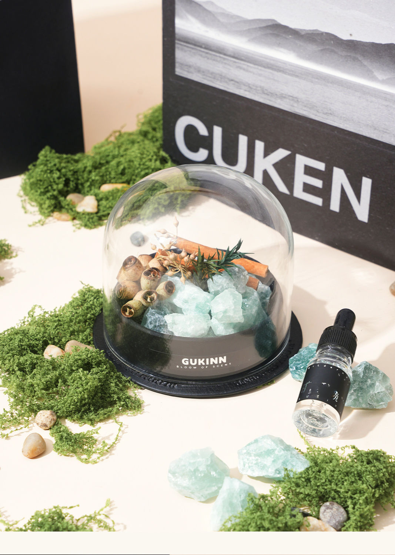 GUKEN Wilderness Secret Realm Aromatherapie-Set, Diffusor, Stein, Nischenduft, Ornament, High-End-Geburtstagsgeschenk für Frauen_voghion.com