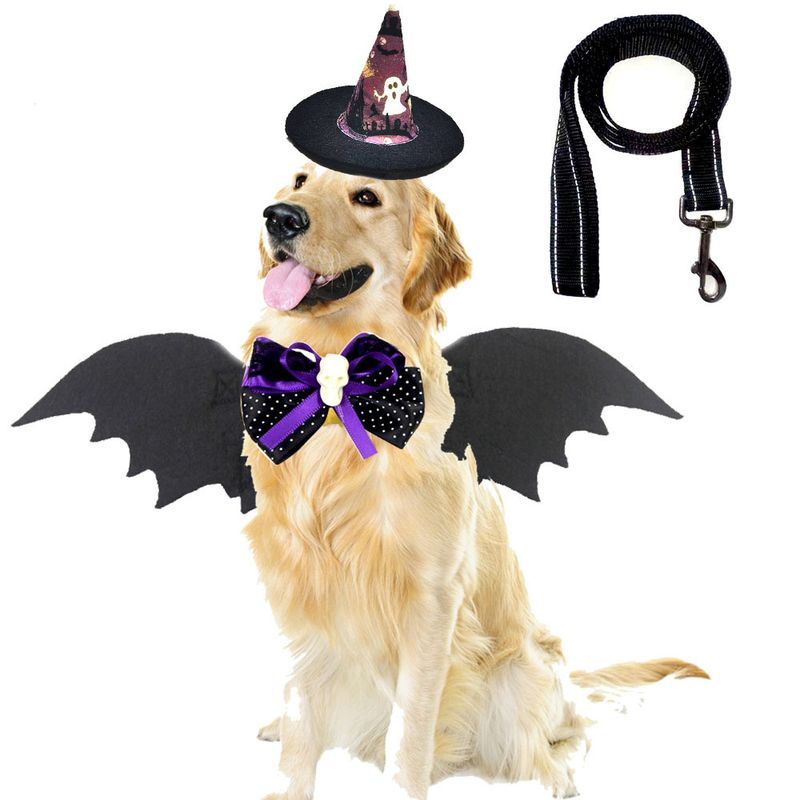 Ali di pipistrello trasformabili, set di accessori per animali domestici, travestimenti per Halloween_voghion.com