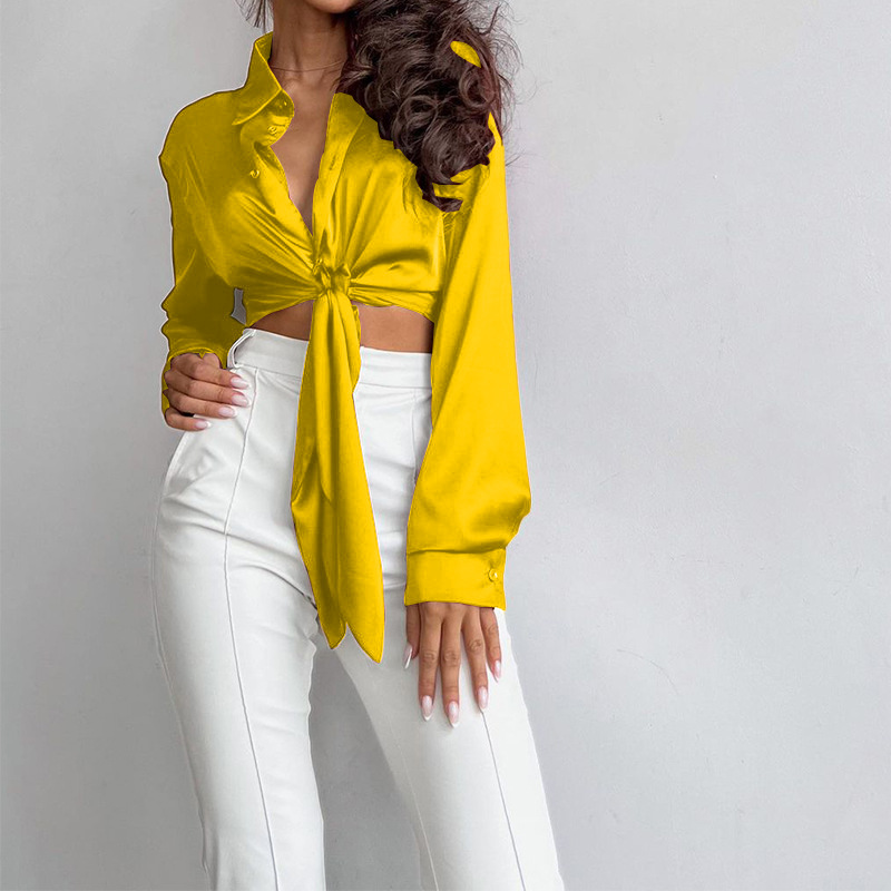 Top da donna a maniche lunghe con collo a polo in raso di seta casual dal temperamento solido_voghion.com