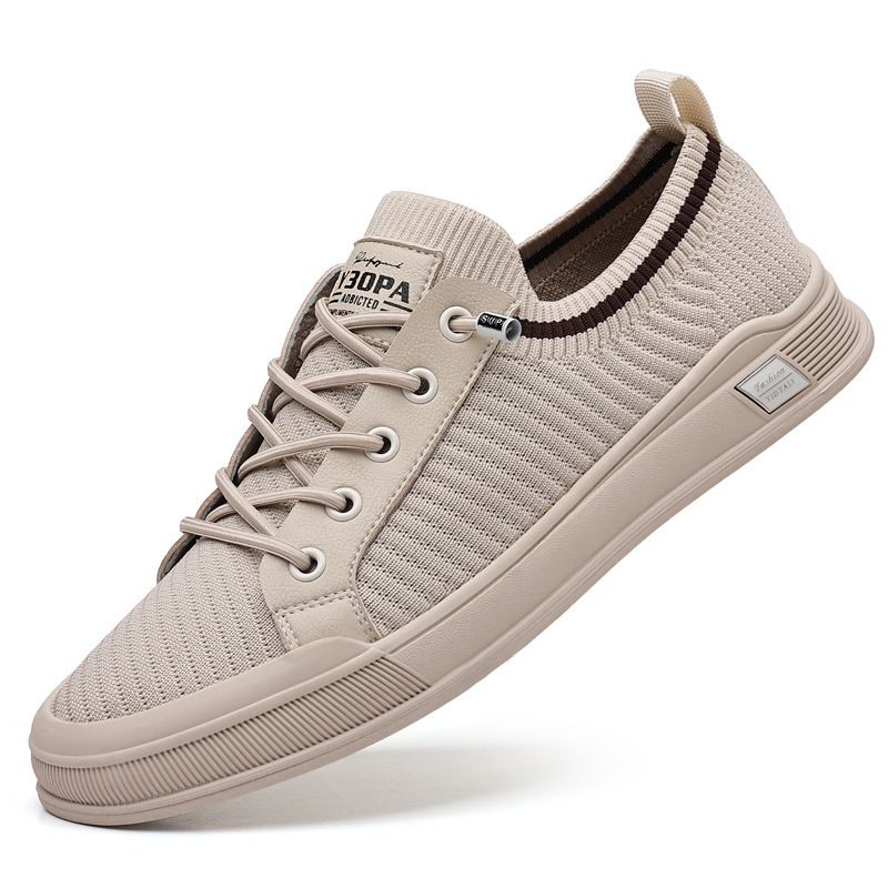 Straight New Casual Breathable Mesh Sports Thin Version, One Foot, Versatile Student Board Shoes, Men's Shoes_voghion.com