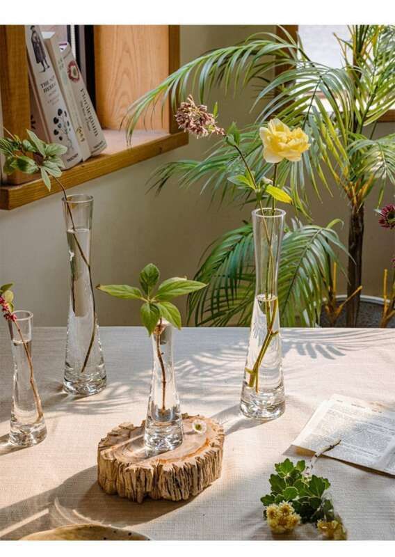 【 46000 People Collected 】 Juhan Nordic Ins High Beauty Arrangement Water Nourishing Small Vase Glass Transparent_voghion.com