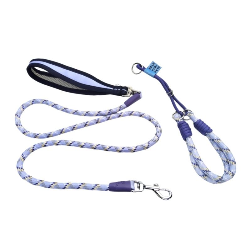Collier rétractable pour animaux de compagnie, corde ronde, laisse et chaîne pour chien_voghion.com