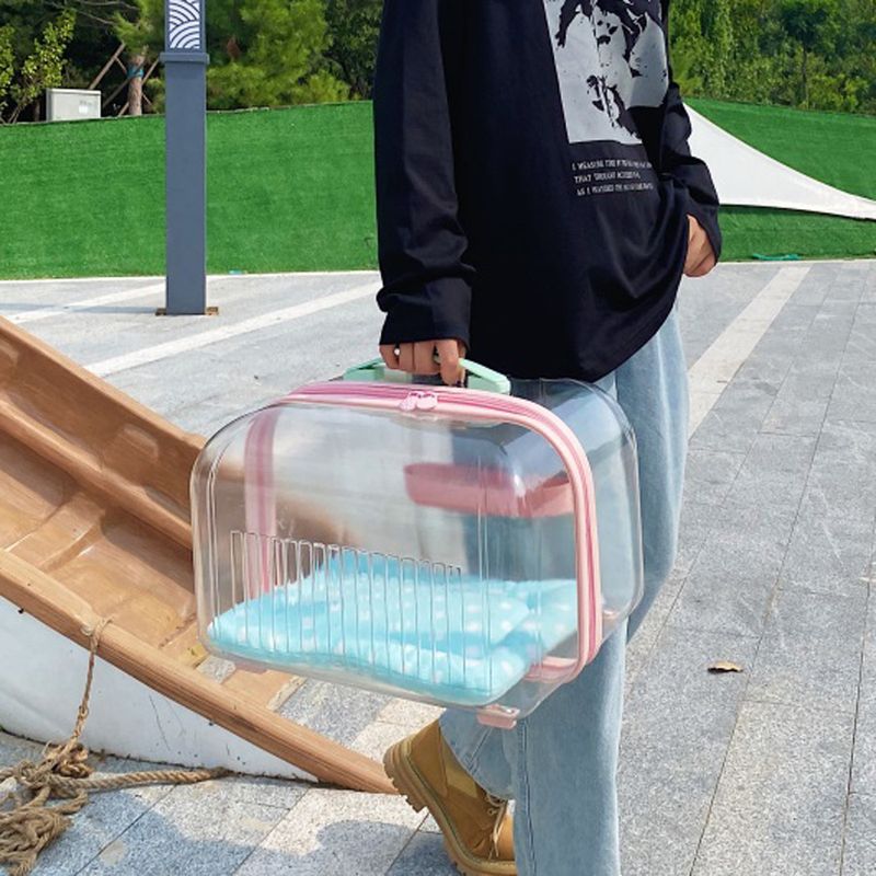 Trolley Case Portable Dog Travel Transparent Pet Space Checked Airline Box Cat Bag_voghion.com