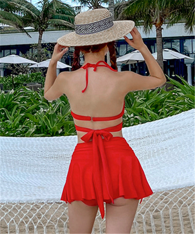 Women's Clothing Sexy Bikini Swimsuit Three Piece Small Breast Underwire Push Up Fashion Swimsuit_voghion.com