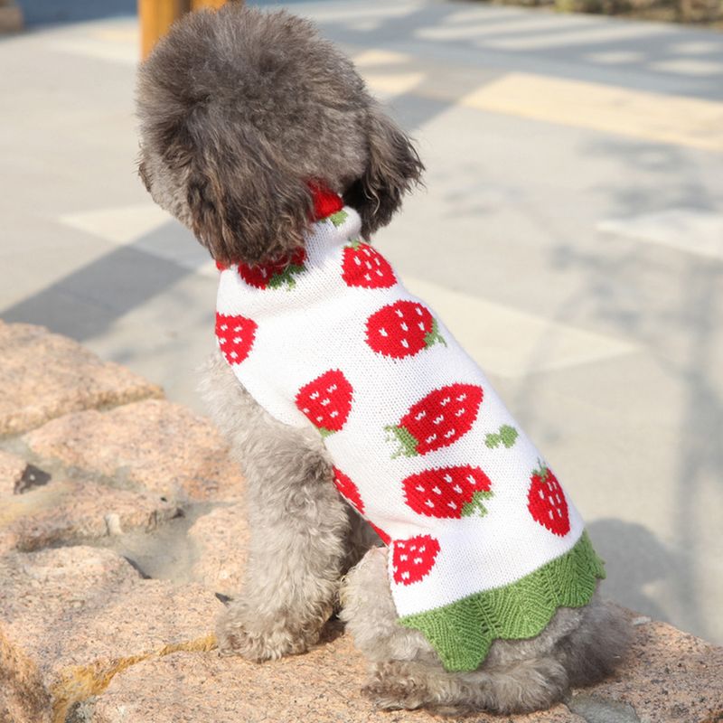 Hund Frühling und Herbst Teddy Pudel Welpen Pullover Neujahr Haustier Kleidung Rentier Weihnachten Outfit_voghion.com