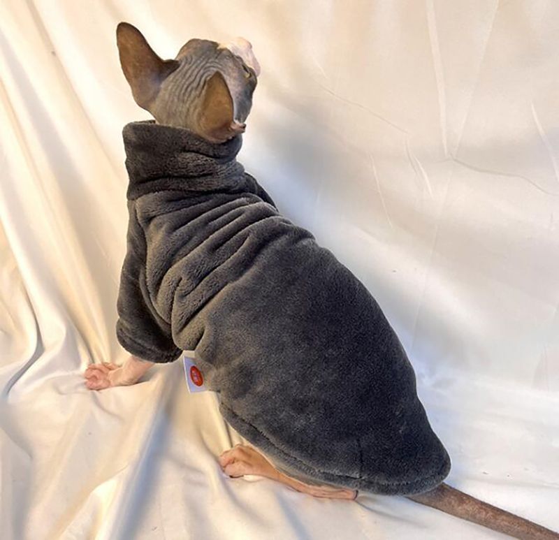 Warme Korallensamt-Kleidung für haarlose Katzen, Winter-Sphynx-Weste, Rollkragenpullover, Kätzchen-Kleidung, Welpenkostüm, Haustier-Zubehör, Gatitos_voghion.com