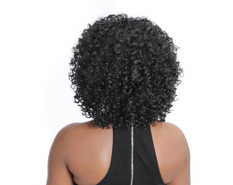 wig African small curly wig Kinky curly wig fluffy explosive wig_voghion.com