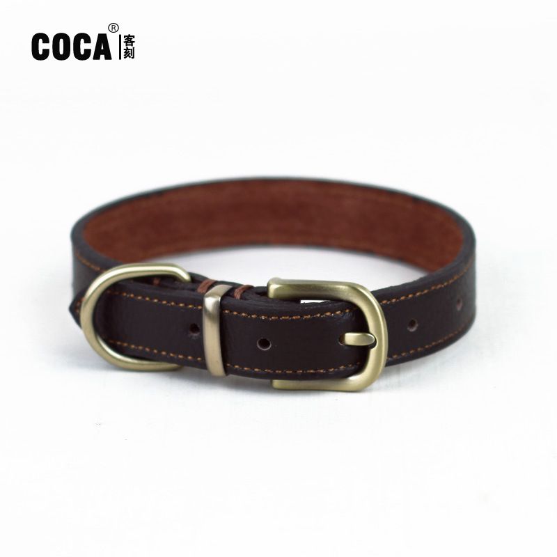 COCA Halsband für Welpen mit individueller Dornschließe, Teddy Bichon, echtes Leder, Länge 42 cm x Breite 2,0 cm_voghion.com