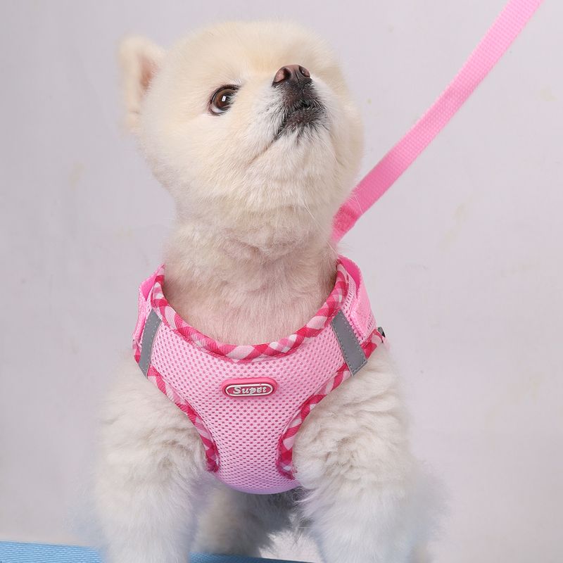 Pettorina antiscivolo Super per cani_voghion.com