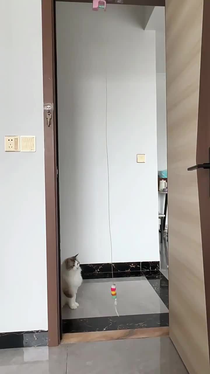 Interactive Electric Toy For Cats By PawParty Store_voghion.com