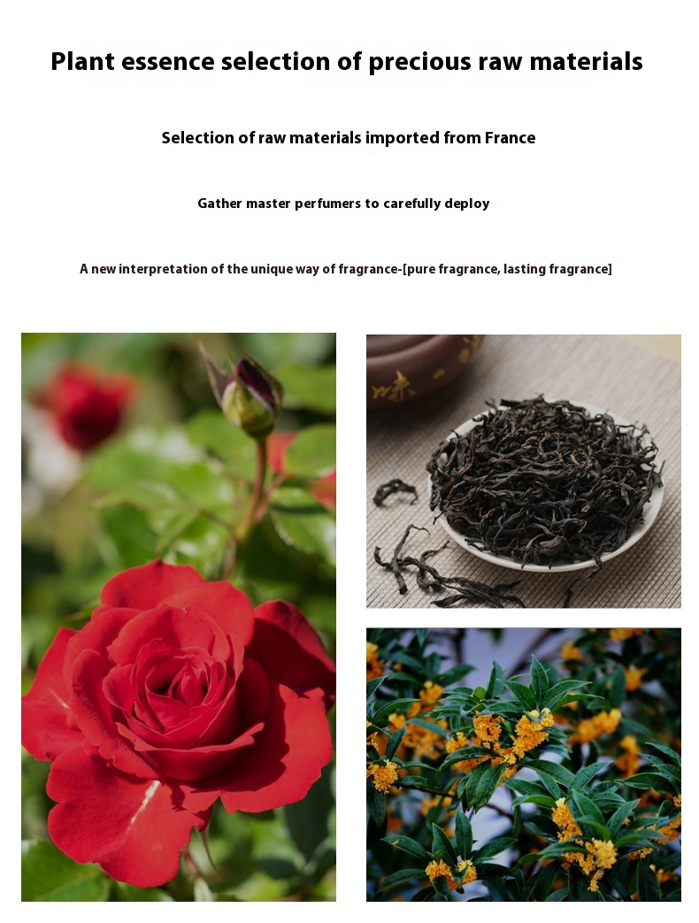 Das neue Parfüm ist ein beliebtes rundes Rosenparfum der Marke RISSERS, ein langanhaltender Blumen- und Fruchtduft für Damen_voghion.com