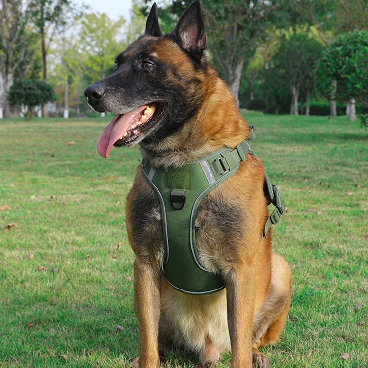 Pet 2024 For Medium And Large Dogs Vest-Style Tactical Harness Dog Walking Leash_voghion.com