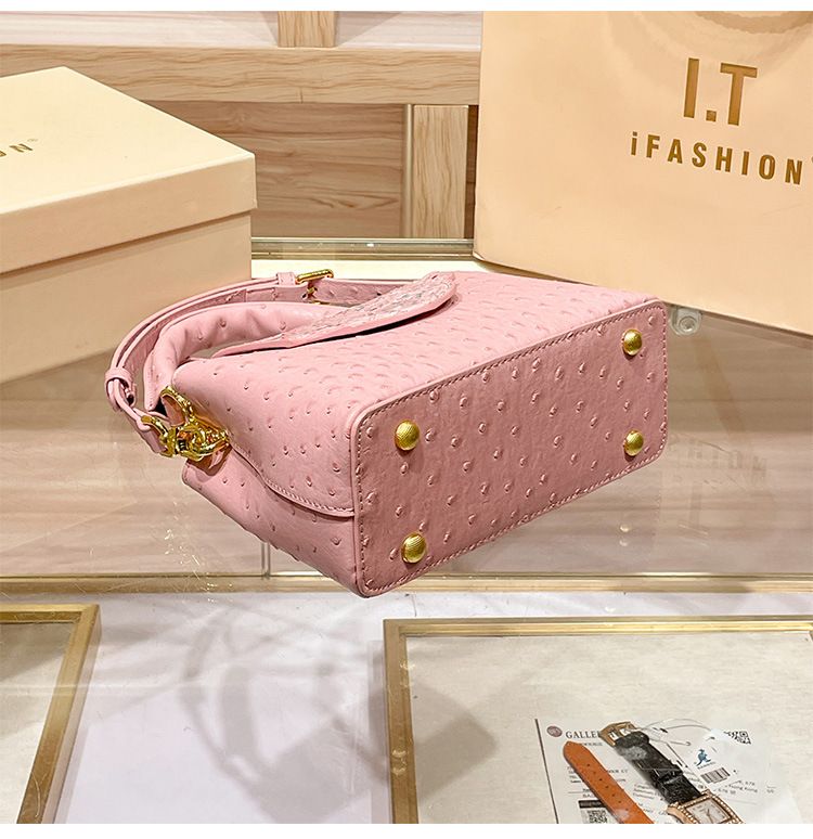 Guangzhou Shiling 2024 Nuovo modello di struzzo a forma di V piccola e leggera borsa a tracolla di lusso ad alto senso_voghion.com