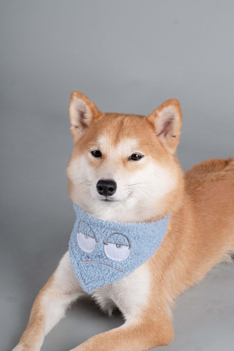 Touchdog 'Dizzy-Eyed Cyclops' Cotton Velcro Dog Bandana and Scarf_voghion.com