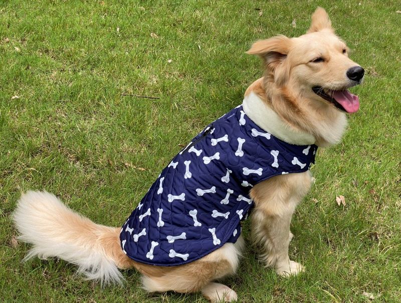 Pocket new pet clothes autumn and winter dog clothes vest cotton coat double sided wearable dog clothes coat clothing_voghion.com