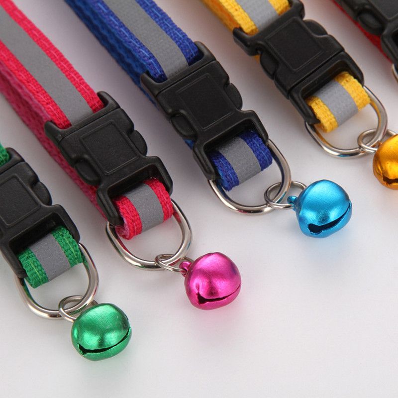 Fluorescent Nylon Dog Collar By PawParty Store_voghion.com