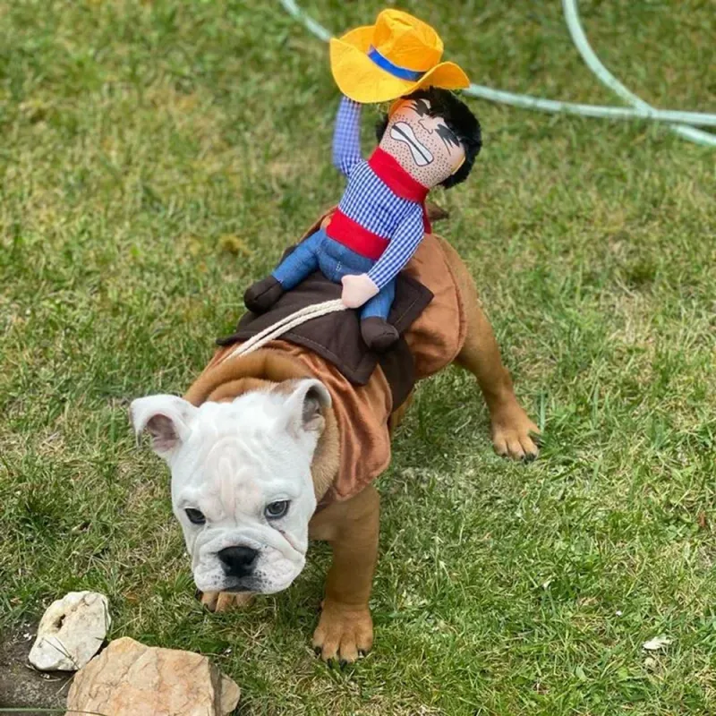 Dog Clothes, Funny Cosply Hlloween Costume, Puppy, Kitten, Cowboy Outfit, Unusul Pet Costumes, Bulldog, Pug, By PawParty Store_voghion.com