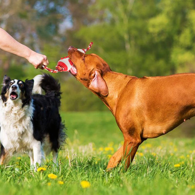 New Pet Toy Dog Chew Hide Food Stick Durable For Small And Medium Dogs Teeth Cleaning Boredom Relief Play_voghion.com