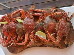 Seafood Cracker Set - Stainless Steel | Lobster & Crab Leg Tools | 4-Piece_voghion.com