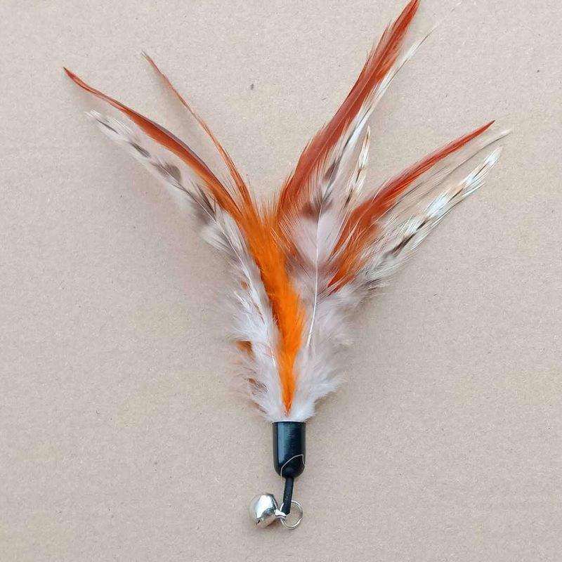 Teaser Wand Pet Cat Toy Bell Feather Replacement Head Best Seller_voghion.com