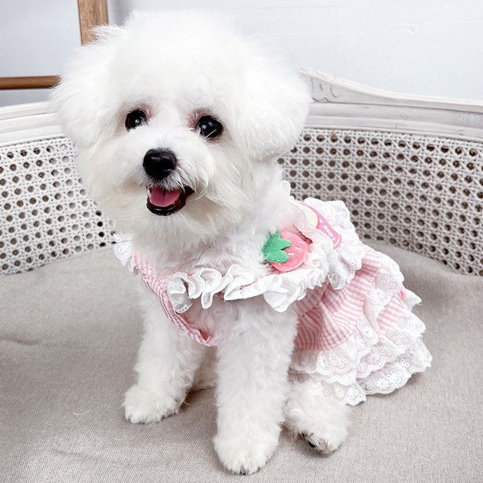 Hund Katze Teddy Corgi Prinzessin Kleid Lolita Haustier Kleidung_voghion.com