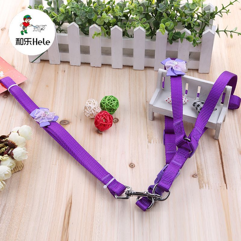 Hele Pet Solid Color Dog Butterfly Flower Leash Collar Chest Harness Teddy Golden Retriever Supplies_voghion.com