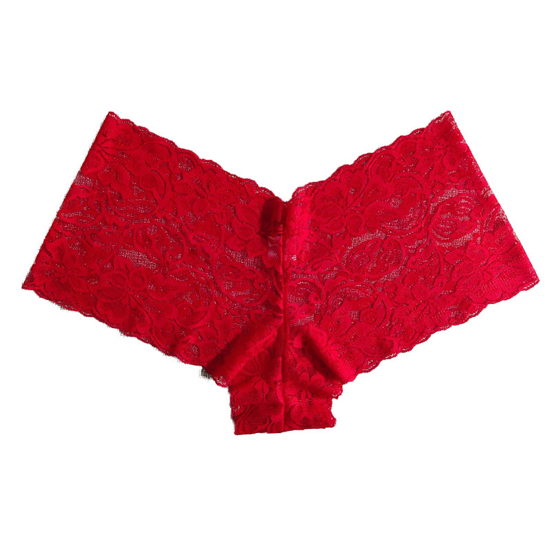 PantiesSeduction Low Waist Hollow Out Briefs Transparent See-through Lace Sexy Panties_voghion.com