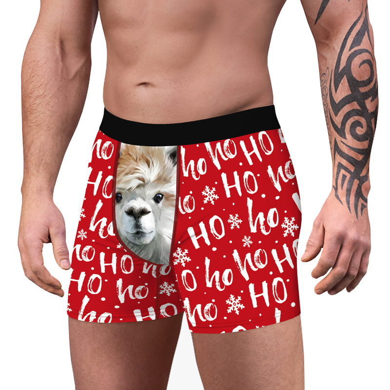 Paresseux de Noël, impression numérique 3D, sous-vêtements confortables pour hommes, pantalons à coins plats en Polyester respirant_voghion.com