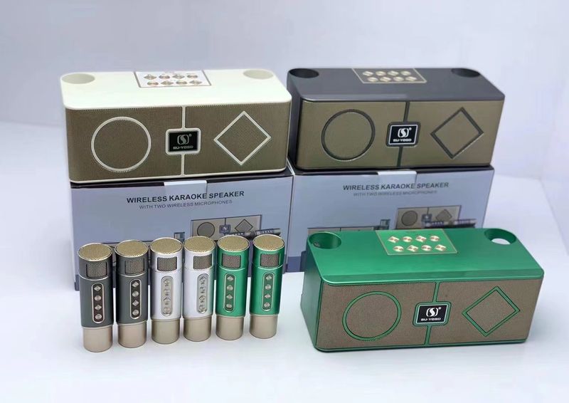 Nuovo altoparlante Bluetooth wireless YS215 con doppio microfono tutto in uno KTV casa karaoke all'aperto_voghion.com
