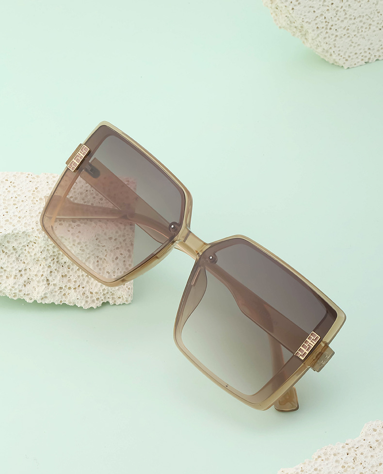 2022 New Fashion TR polarizzati occhiali da sole con montatura grande occhiali da sole coreani di fascia alta da donna all'ingrosso transfrontaliero_voghion.com