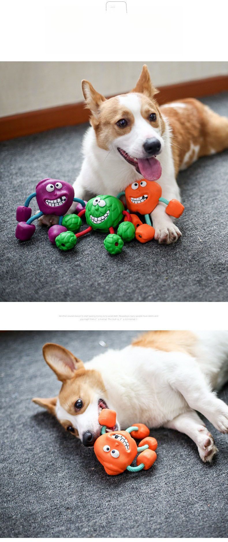 Durable Chew Teething Fun Rubber Teddy Border Collie Dog Sound Toy Ball_voghion.com
