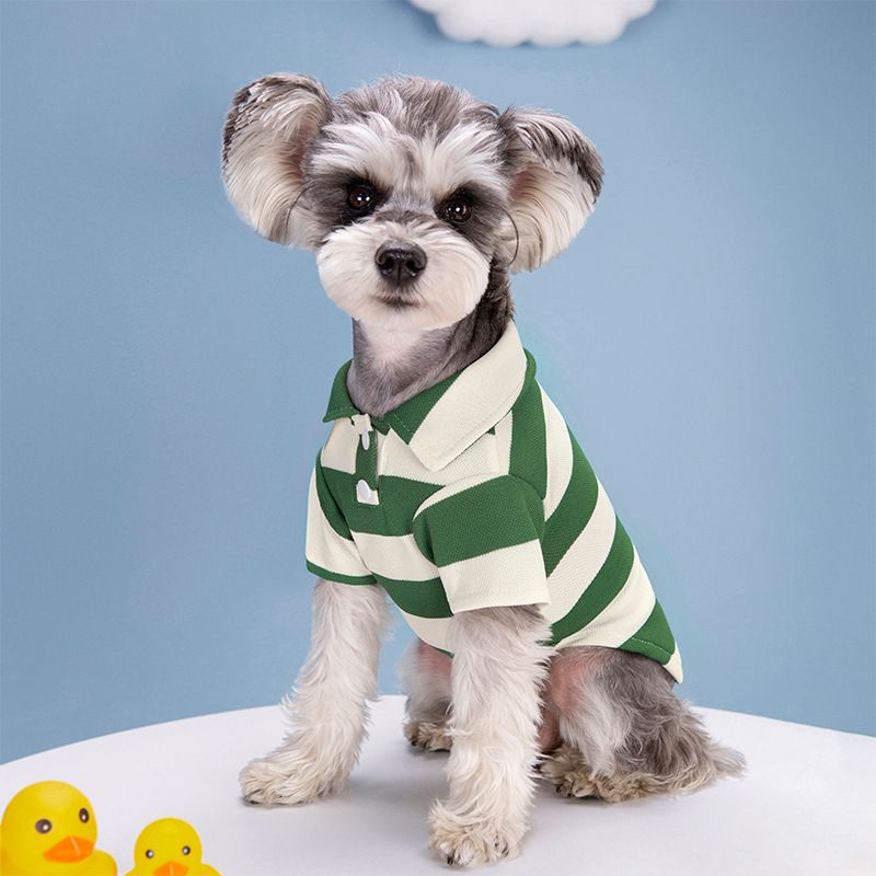 2023 Nya Hund Vår- och Sommarpolotröja Randig Pärlhalsband Elastisk T-shirt Katt Randiga Kläder_voghion.com