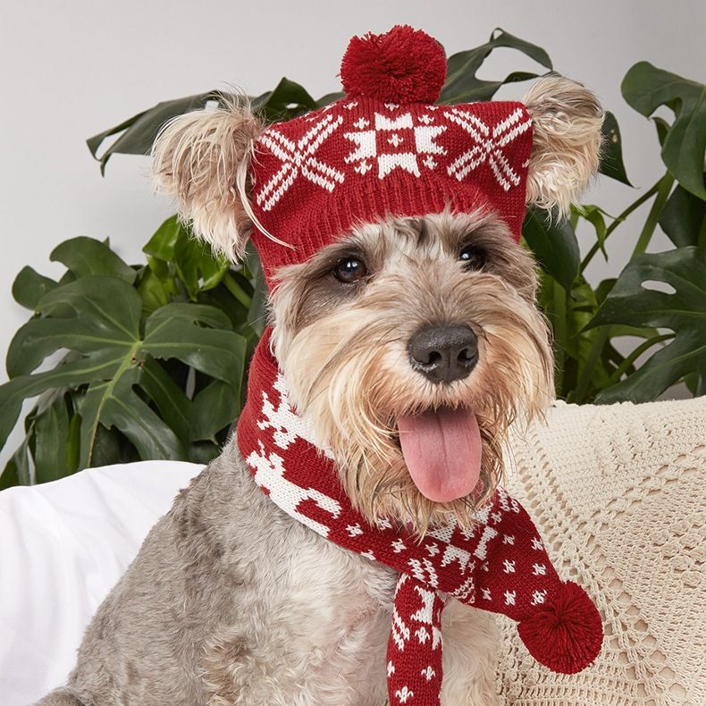Knit Christmas pet scarf and hat two-piece fawn hairball Elastic adjustable puppy accessories_voghion.com