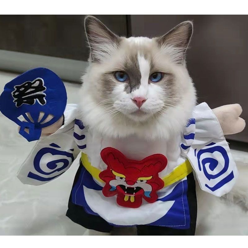 Spring And Autumn Pet Clothing Cute Funny Quirky Costume Hilarious Cat Dog Clothes Standing Transformation Outfit 3D_voghion.com