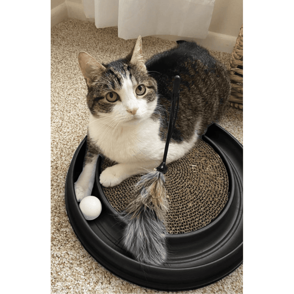 (2 Pack)Turbo Interactive Scratcher Cat Toy Colors May Vary_voghion.com