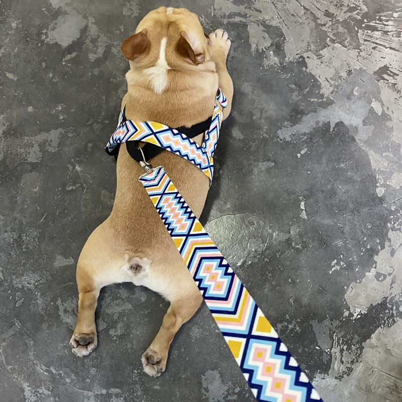 Geschirr für mittelgroße und große Hunde, Golden Retriever Labrador Weste Stil Hundeleine für Erwachsene_voghion.com