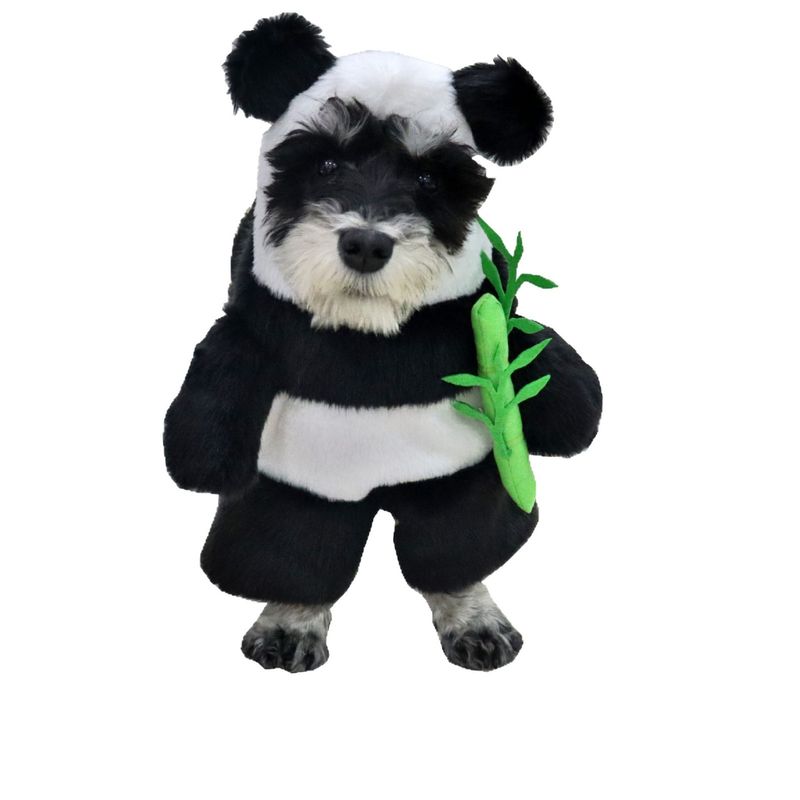 Halloween Pet Funny Cat Dog Transformation 3D Panda Holding Bamboo Upright Costume_voghion.com