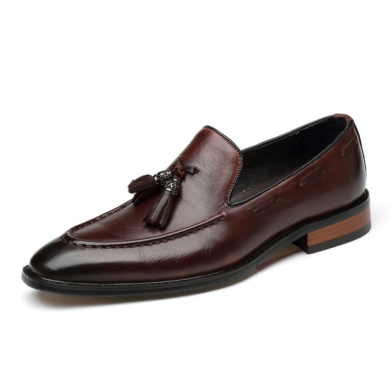 Adatto a tutte le stagioni, 9688 scarpe casual da uomo in vera pelle, basse, con nappe e punta a punta, alla moda primaverile_voghion.com