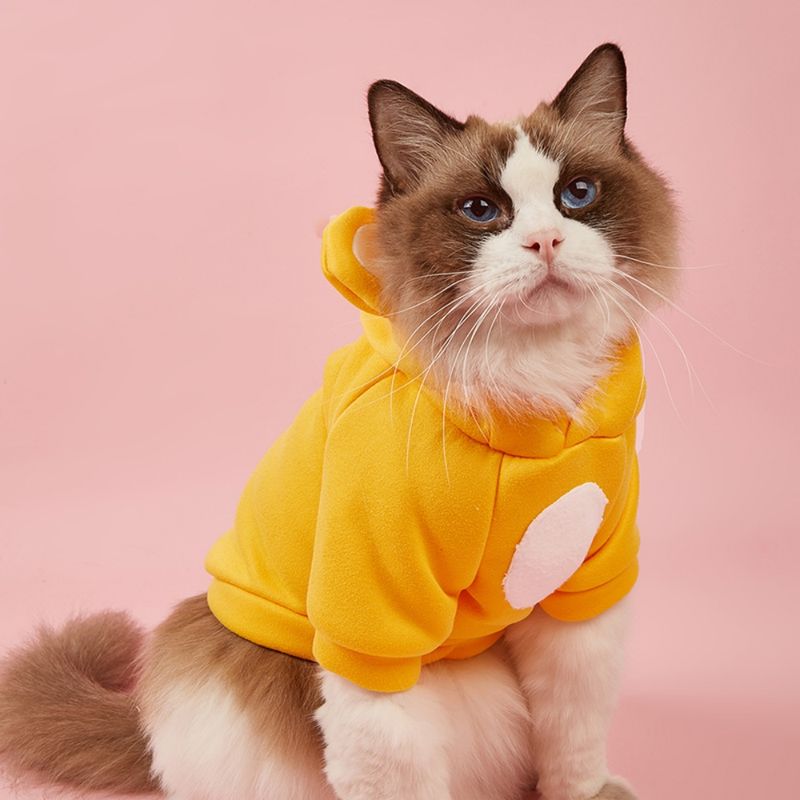 Niedliche Kleidung für haarlose Katzen, Winterkostüme für Katzen, Kätzchen, Sphynx-Hoodies, Pullover, Hundebekleidung, Katzenkleidung_voghion.com
