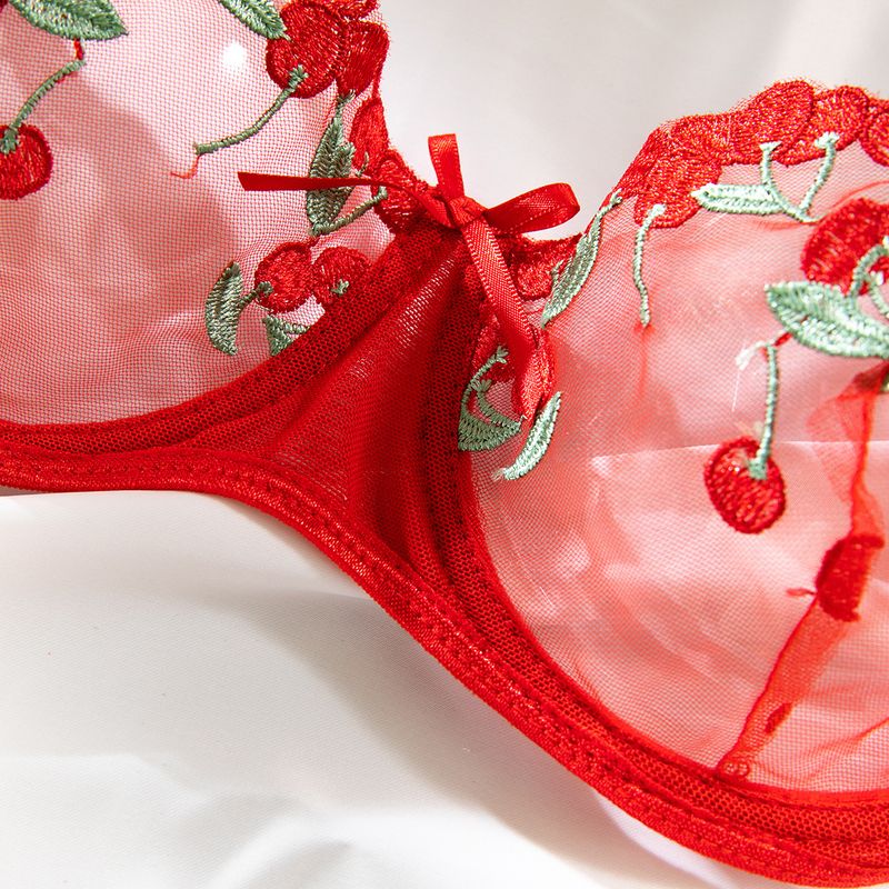Completo reggiseno in rete trasparente ricamato in stile francese con dettagli a fiocco - Lingerie 2 pezzi_voghion.com