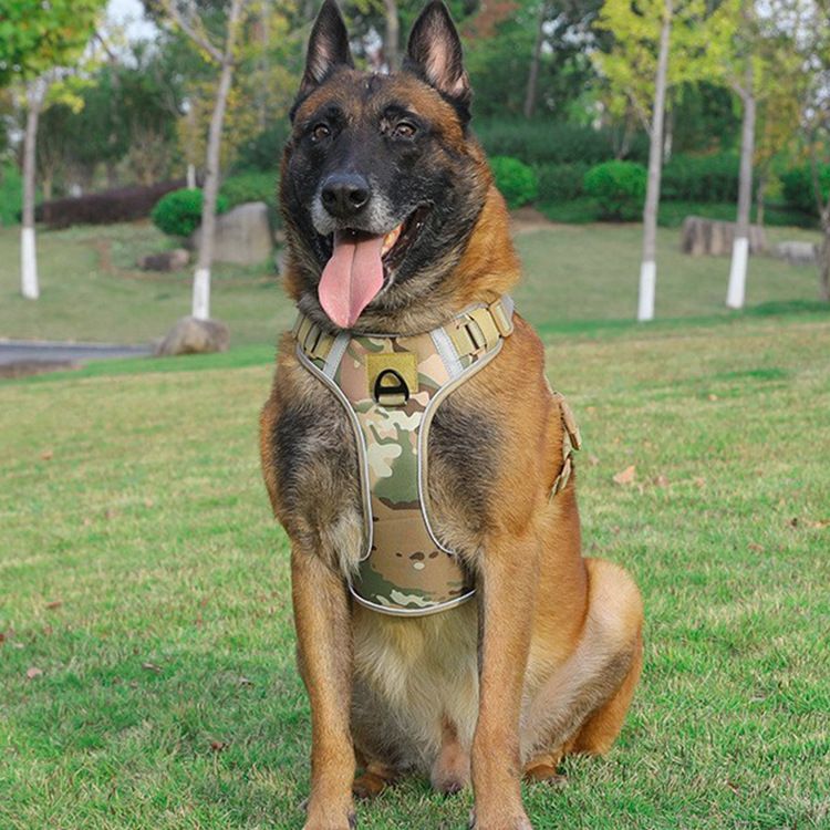 Pet 2024 For Medium And Large Dogs Vest-Style Tactical Harness Dog Walking Leash_voghion.com